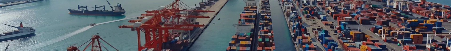 Car Delivery Exporter